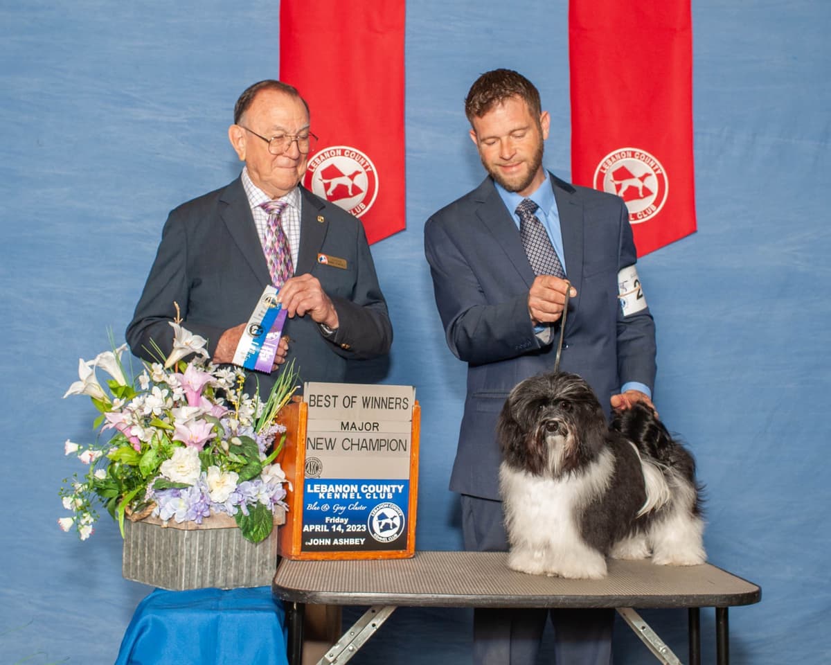 Havanese Puppies from fully tested Ch dam and GCHG sire breeder image 2