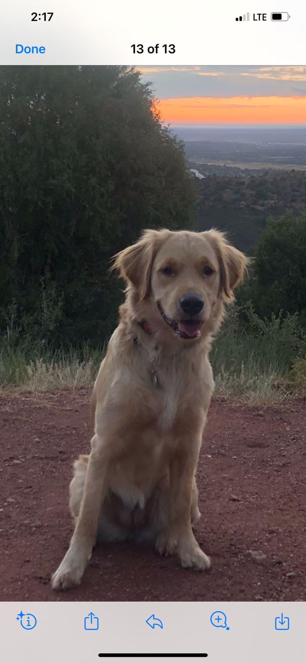 One year old female breeder image 23