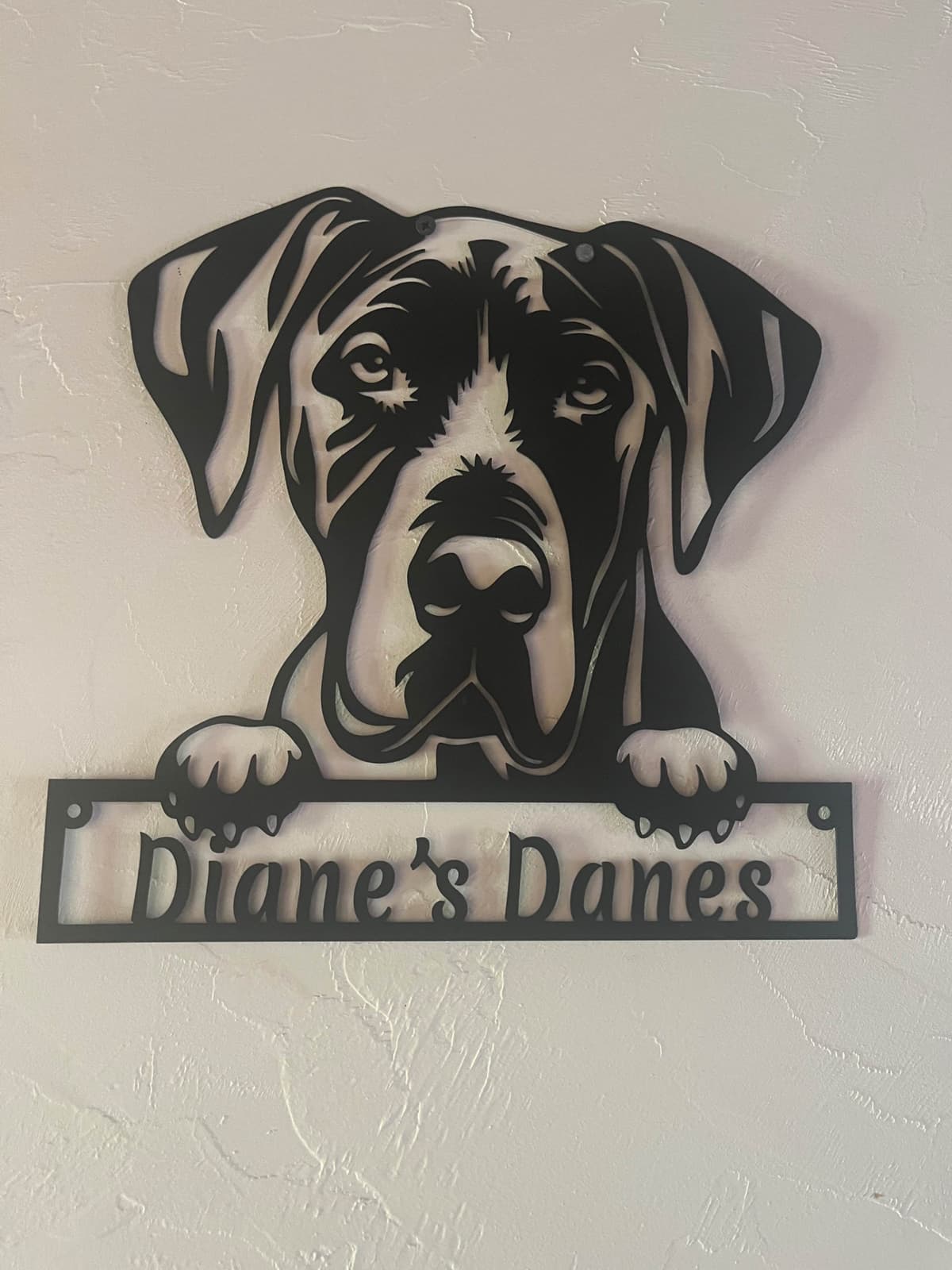 AKC Blue Great Danes! breeder image 1