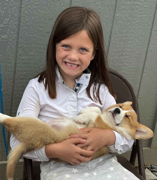 AKC Pembroke Welsh Corgi Puppies - Vet Checked and Socialized - GA media 5