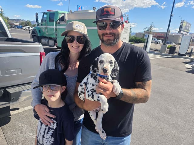 Dalmatian Puppies media 8
