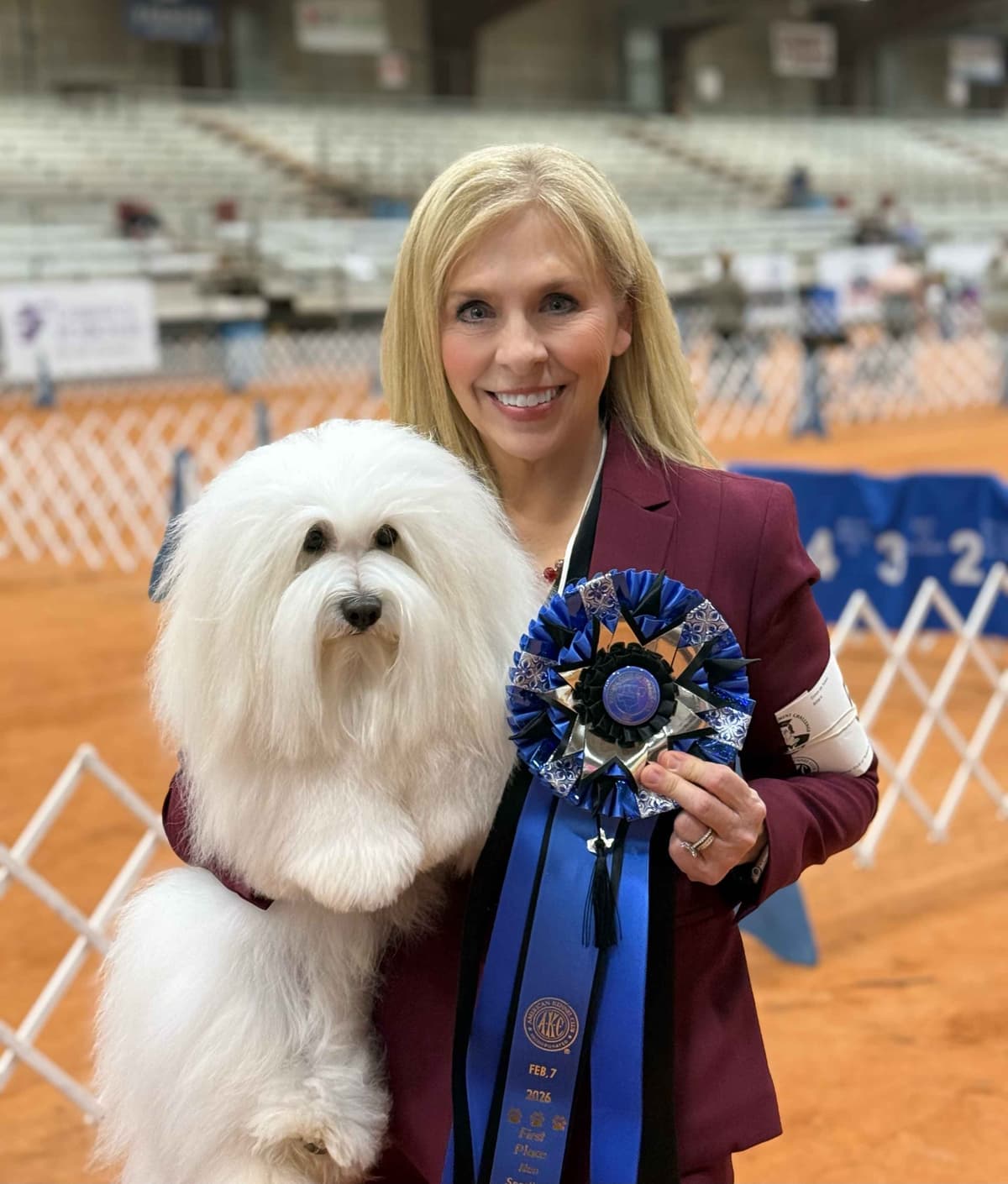 Coton de Tulear Puppies breeder image 5