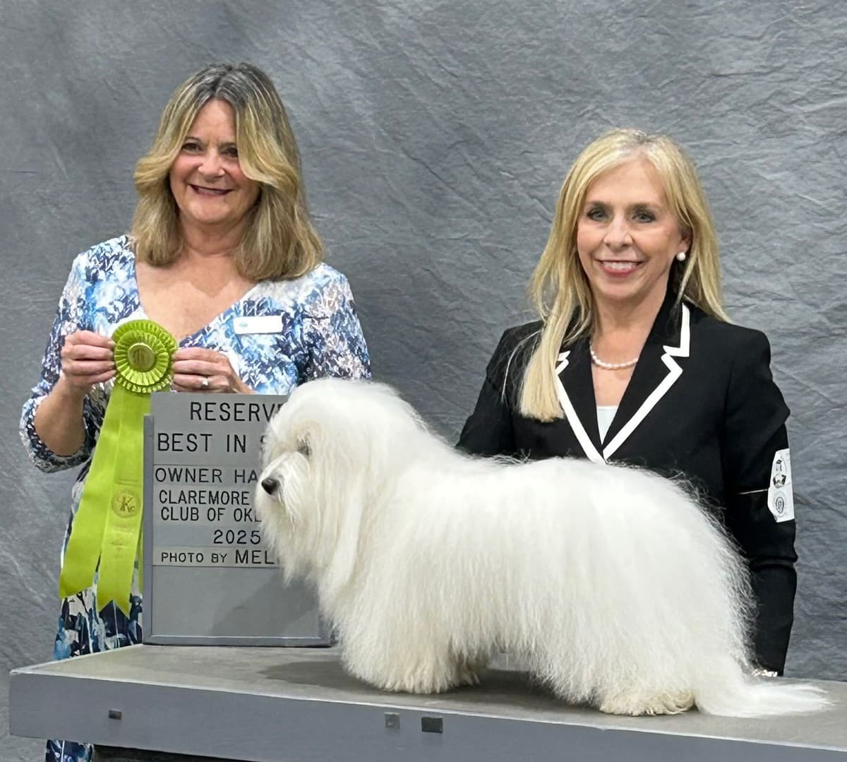 Coton de Tulear Puppies breeder image 14