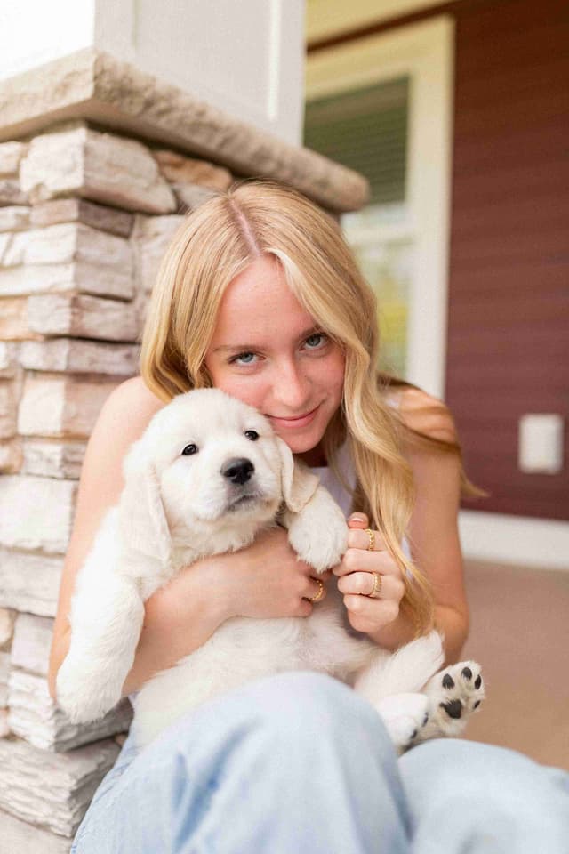 English Cream Golden Retrievers media 14