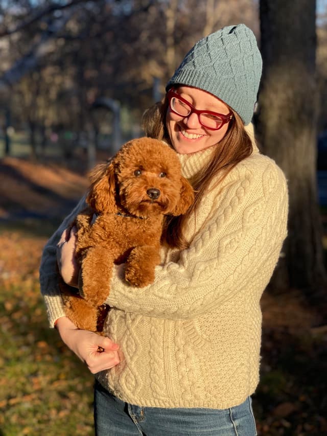 Poodle Puppies media 18