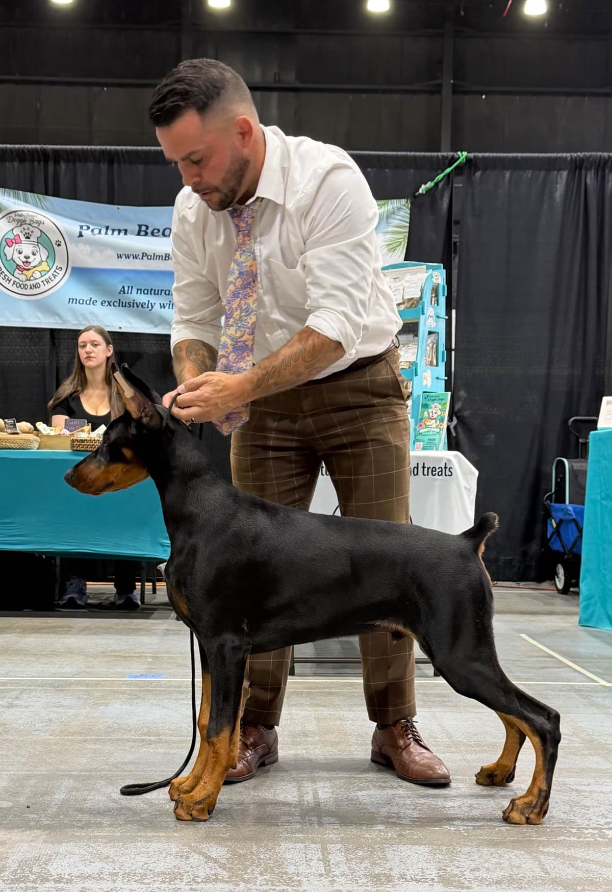 Doberman Pinscher Puppy breeder image 5