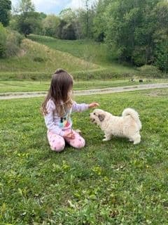 Great Pyrenees Puppies breeder image 7