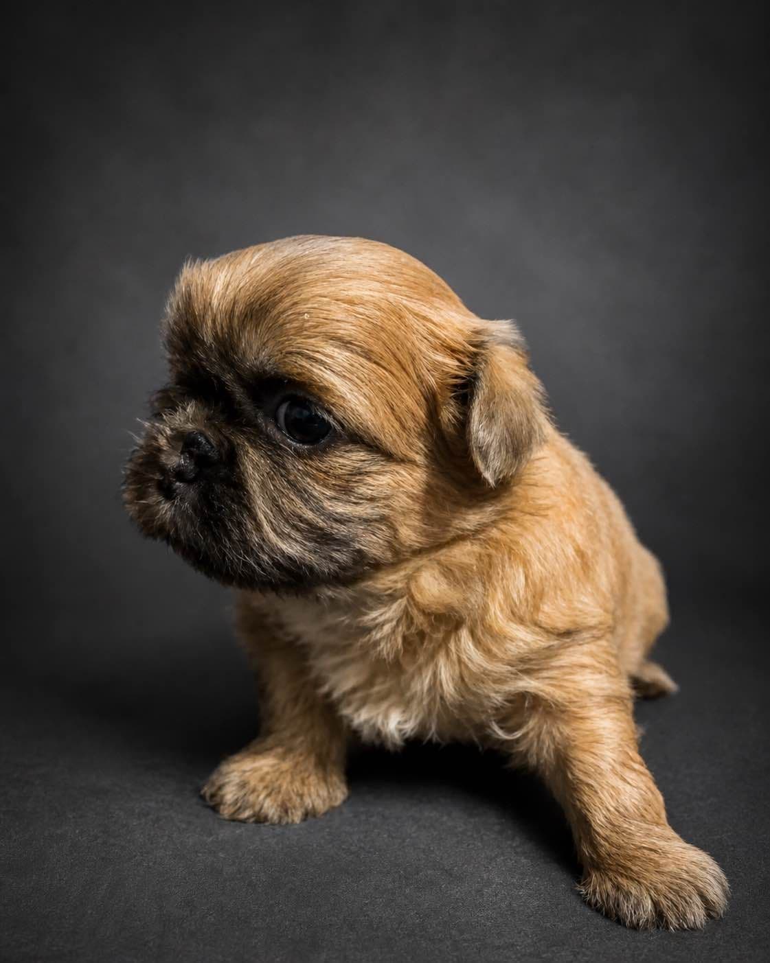 Tyson breeder image 3