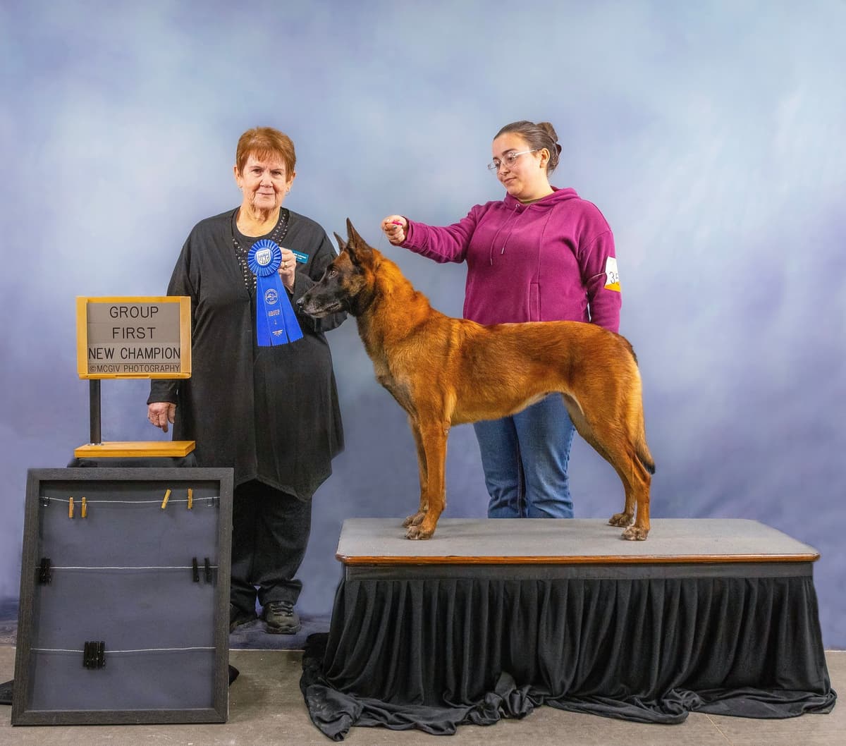 Belgian Malinois Puppies breeder image 5