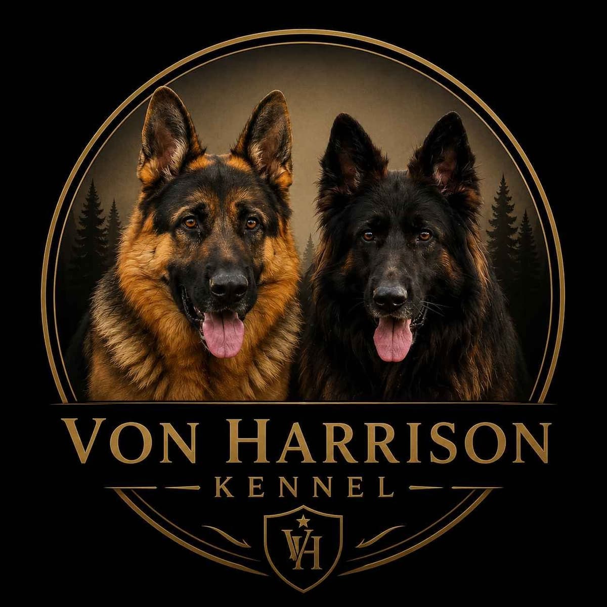 Purebred German Shepherd Puppies breeder image 1