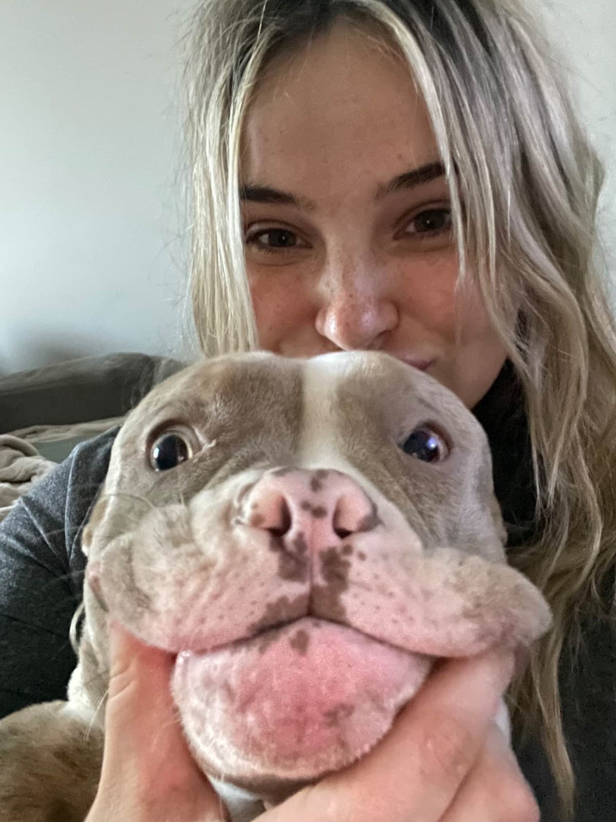 French Bulldog Puppies breeder image 2