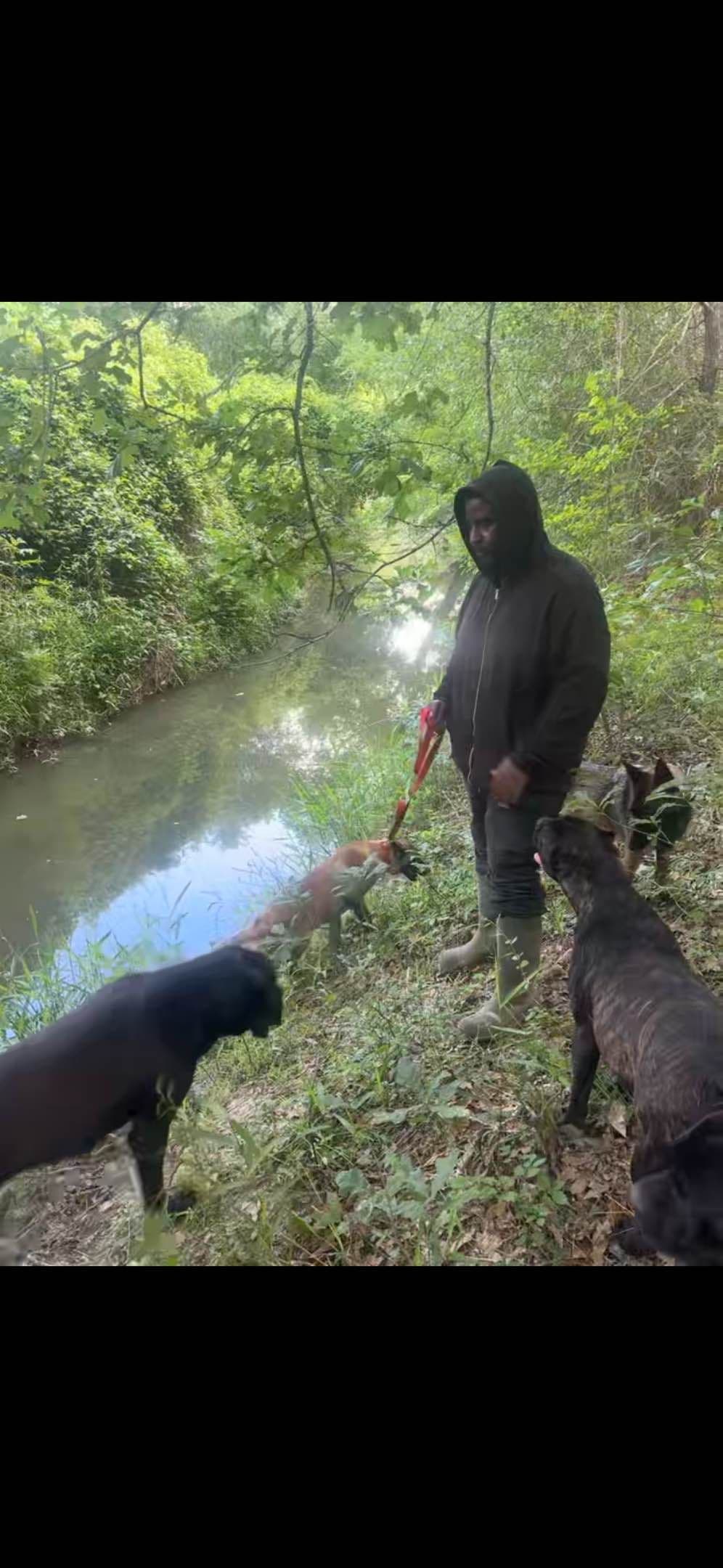 Cane Corso Puppies breeder image 17