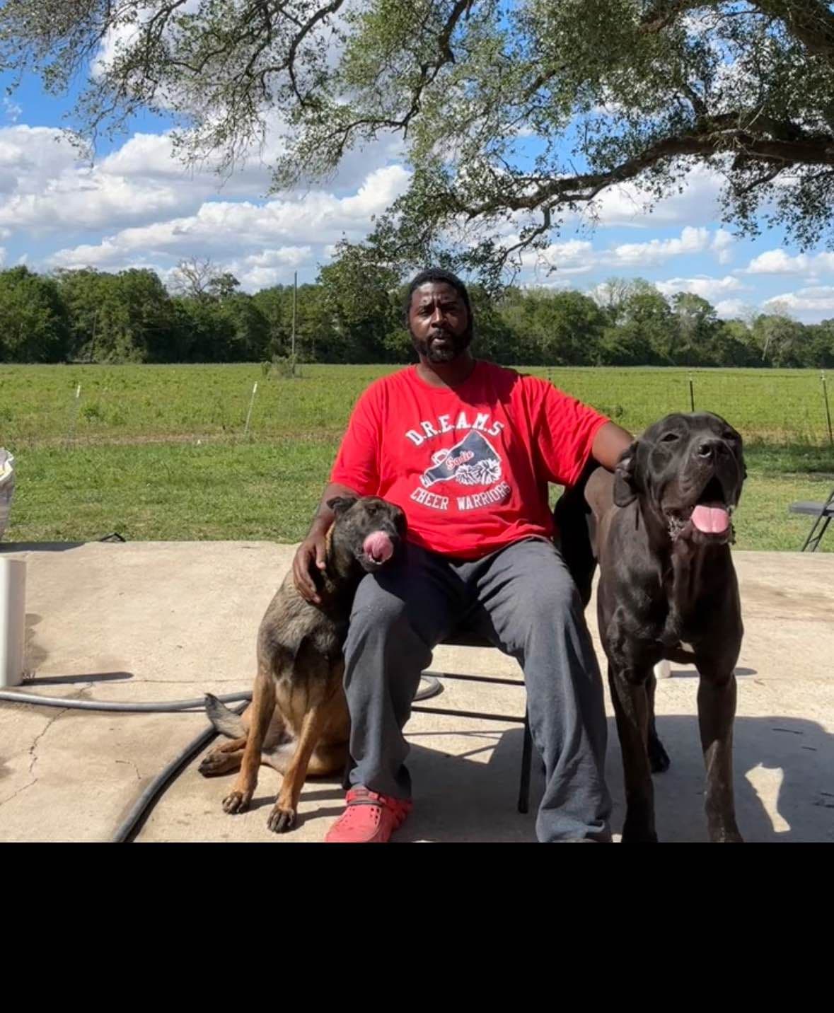 Cane Corso Puppies breeder image 20