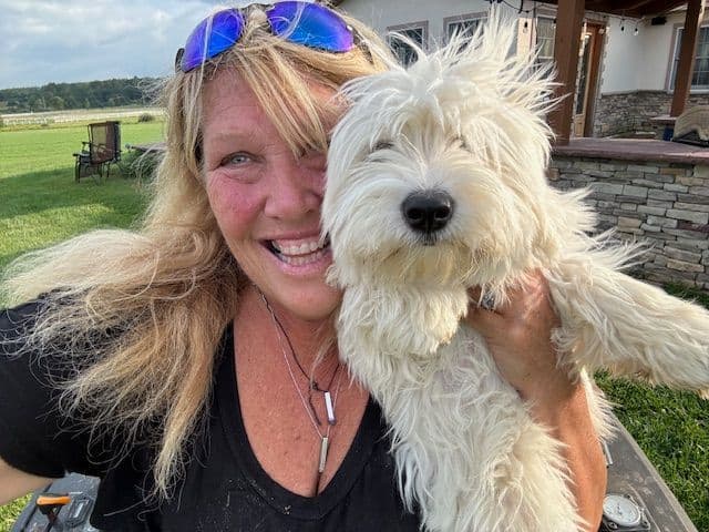 Coton de Tulear Puppies media 4