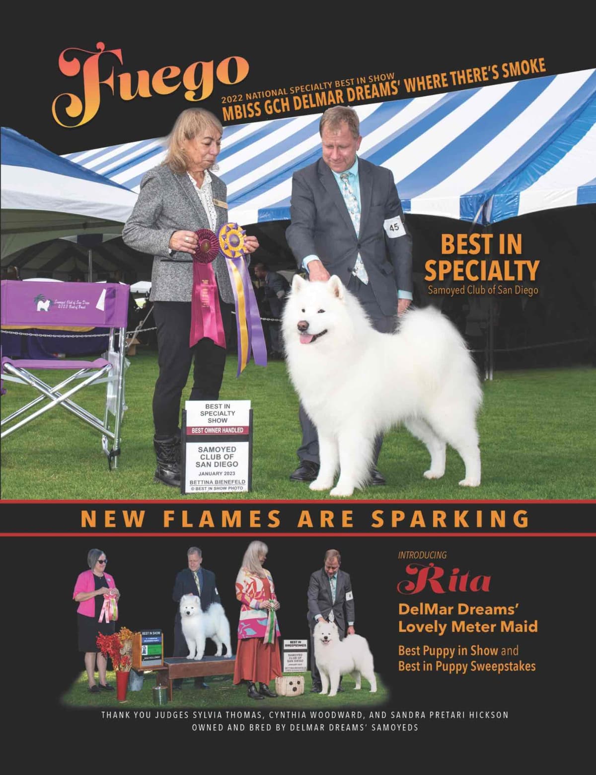 Samoyed Puppies Available breeder image 3