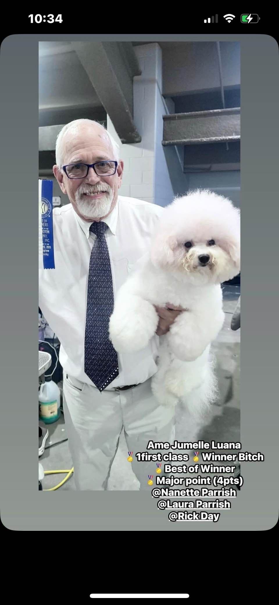 Bichon Frise Puppies breeder image 3