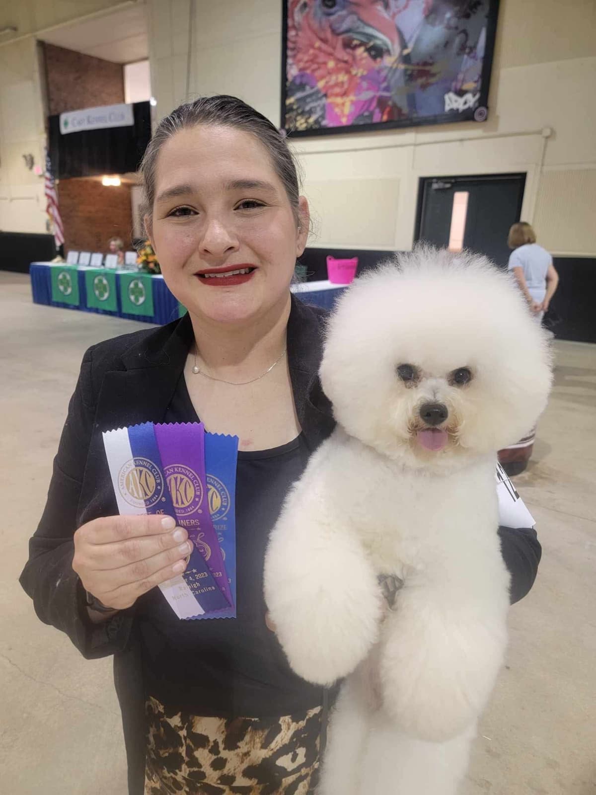 Bichon Frise Puppies breeder image 5