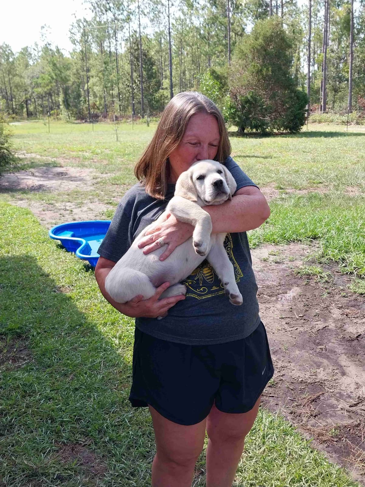 Labrador Retriever Puppies breeder image 24