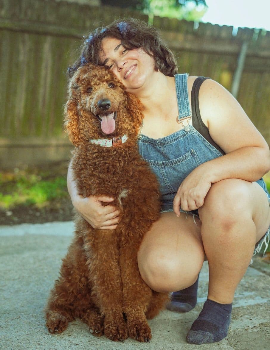 Red Standard Poodle Puppies breeder image 3