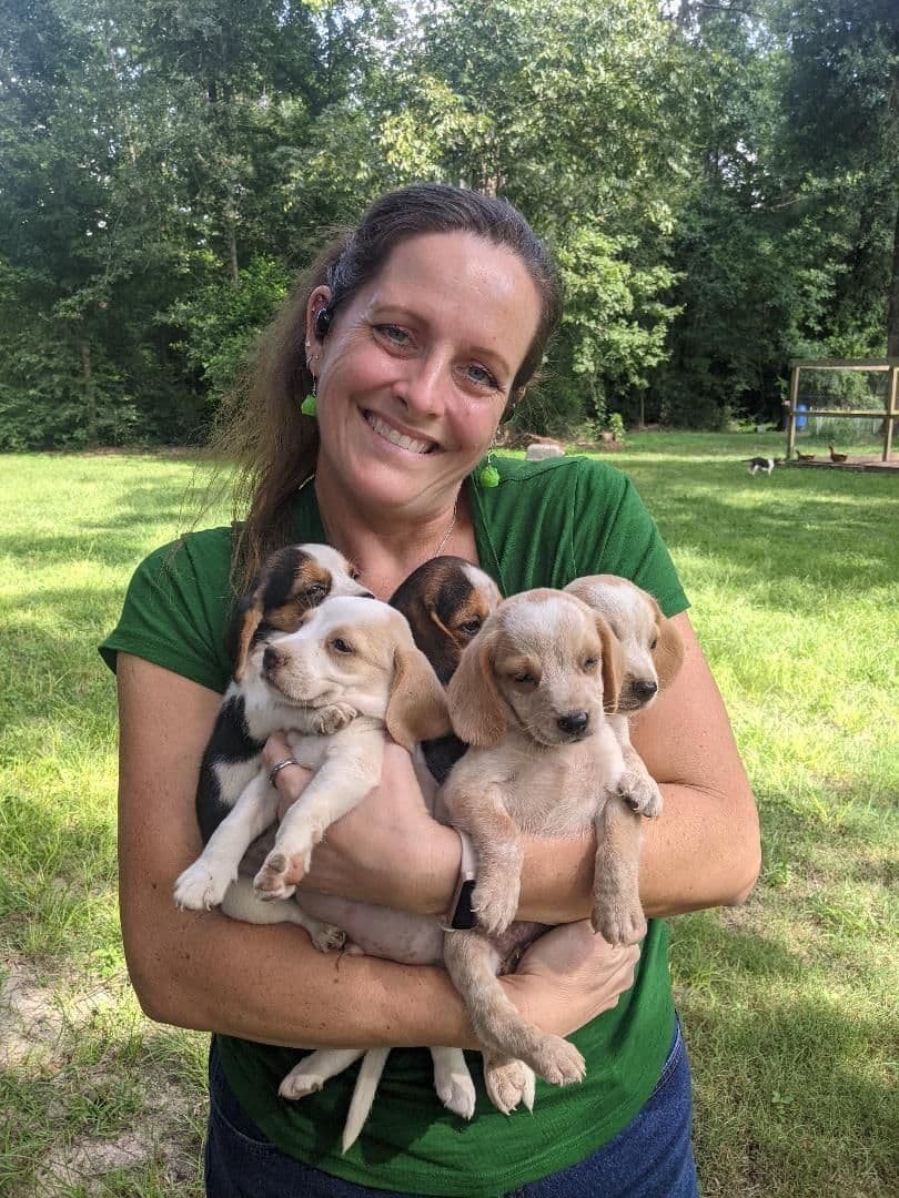 Pecan Hill Reg. Beagle Puppies breeder image 1