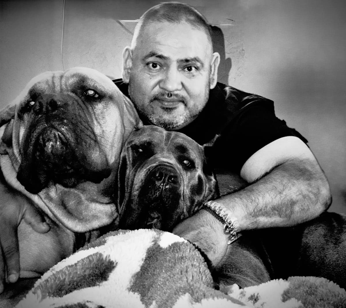 Cane Corso Puppies breeder image 1