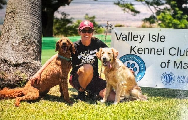 Golden Retriever Puppies media 4