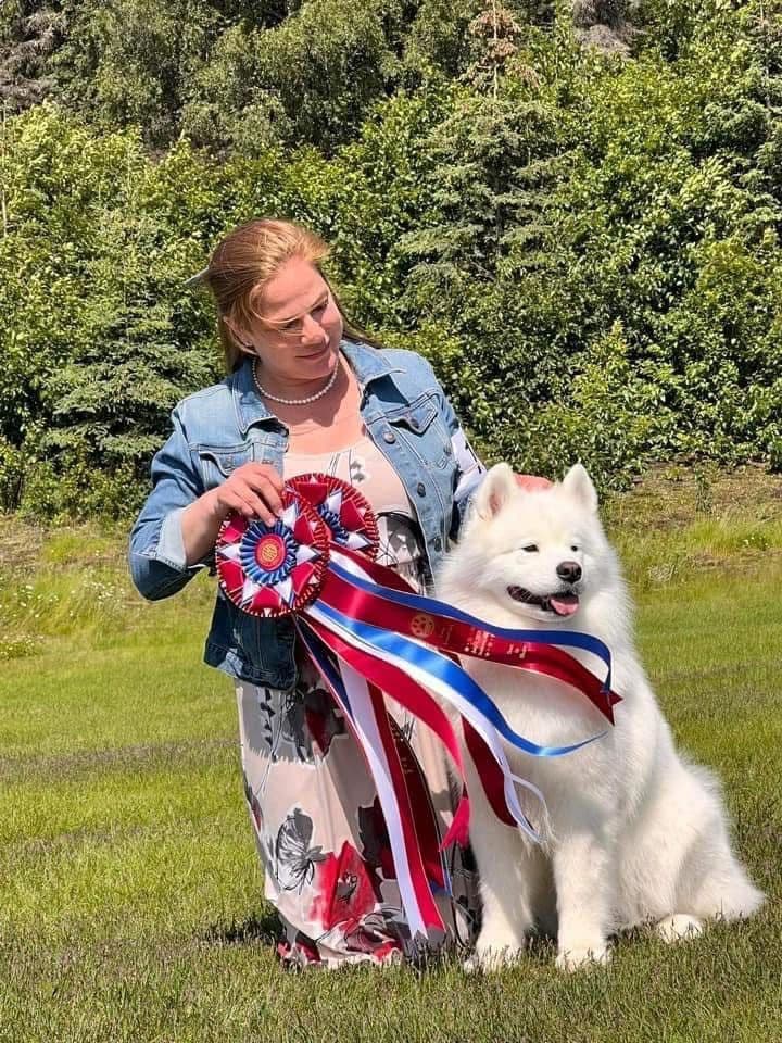 Samoyed Puppies breeder image 3