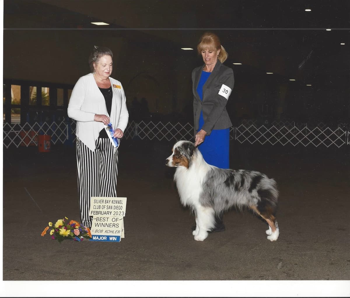 Australian Shepherd Puppies breeder image 2