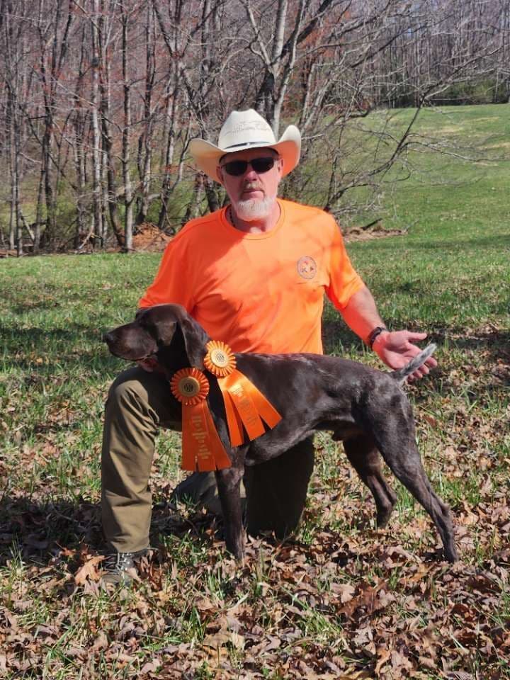 German Shorthaired Pointer Puppies 7-5-26 Only a few puppies left. breeder image 2