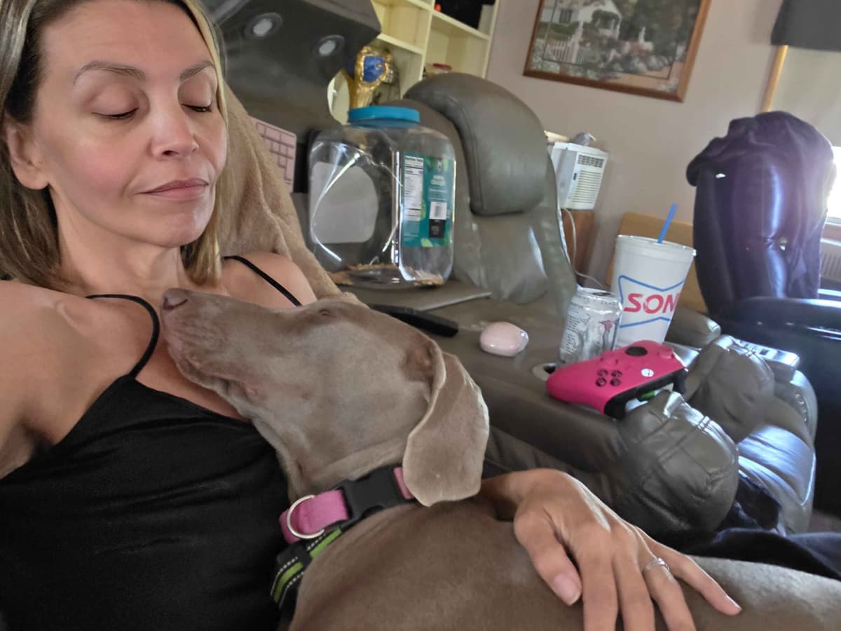 Weimaraner Puppies breeder image 7
