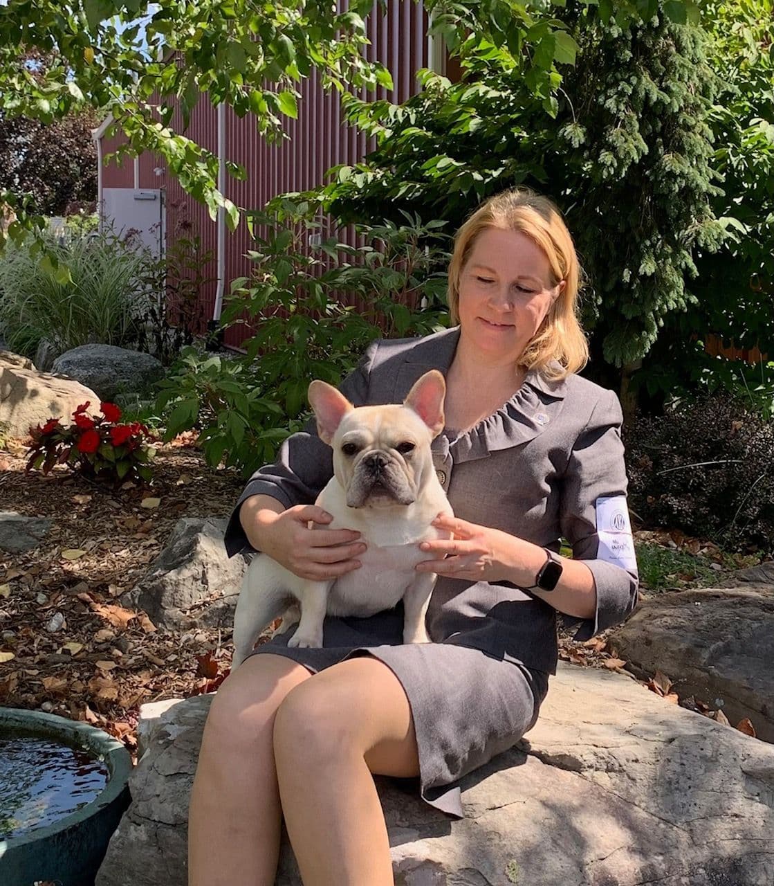French Bulldog Puppies breeder image 7