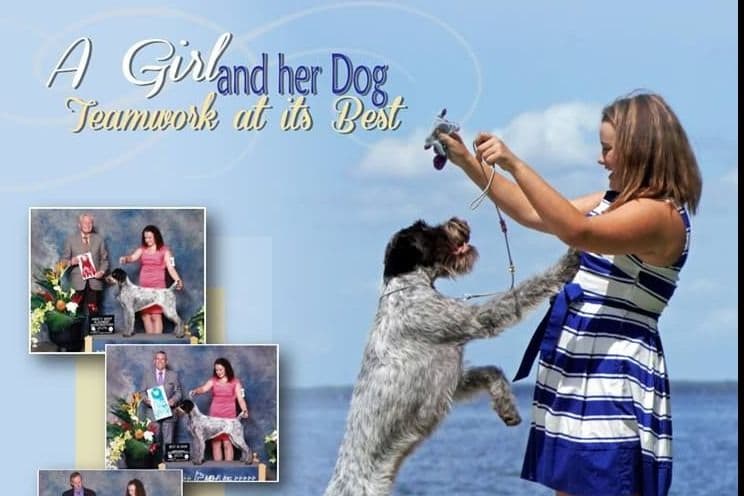 German Wirehaired Pointer Puppies breeder image 9