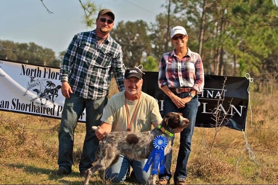 German Wirehaired Pointer Puppies breeder image 11