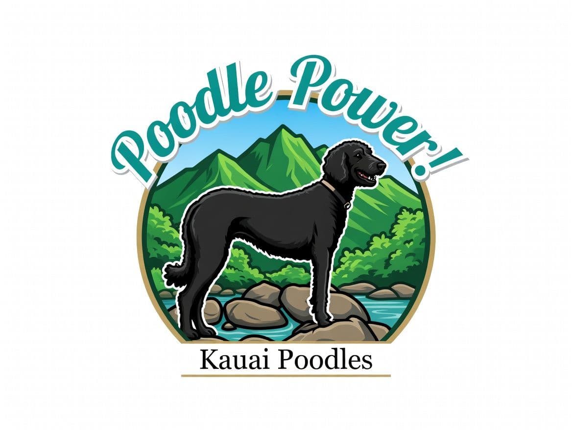 ENS-trained, well-socialized Poodle Puppies! breeder image 3
