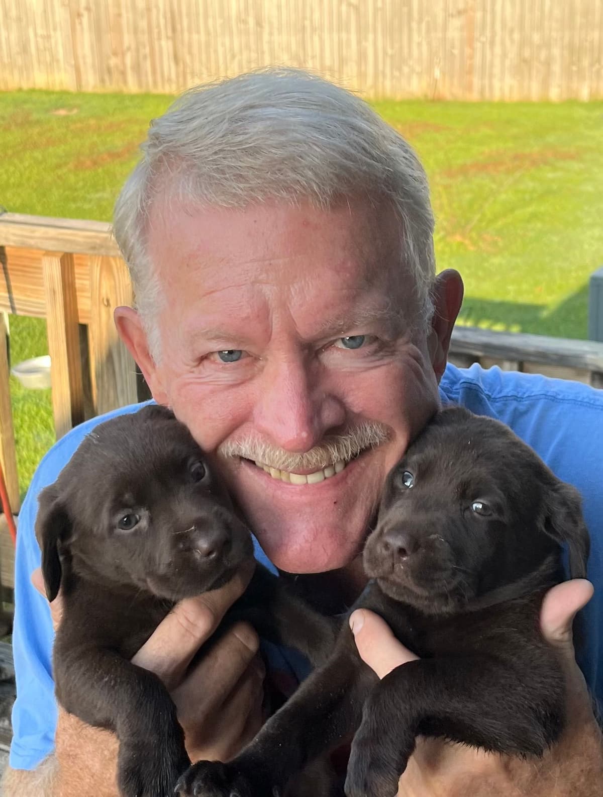 Labrador Retriever Puppies breeder image 1