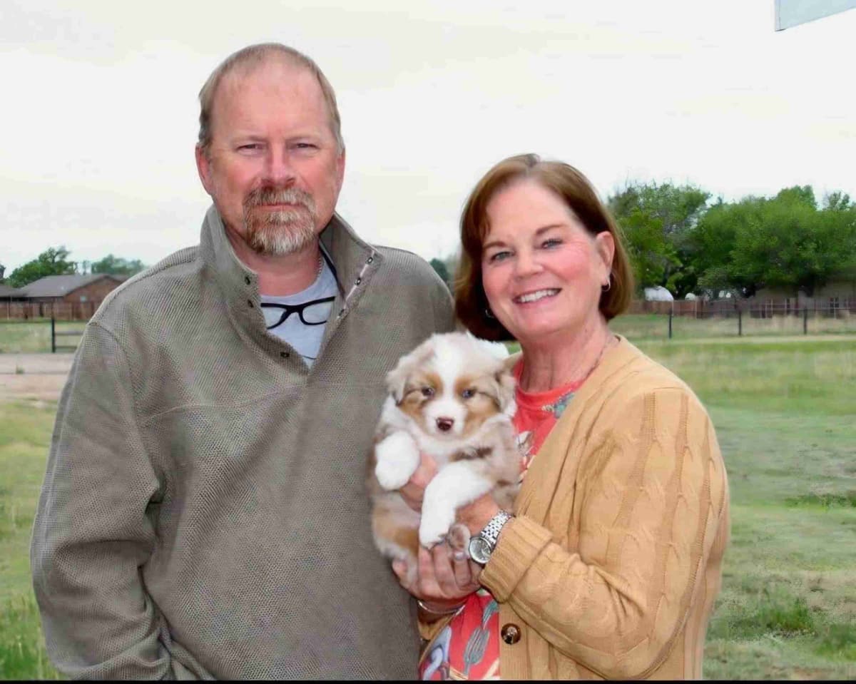 Australian Shepherd Puppies breeder image 1