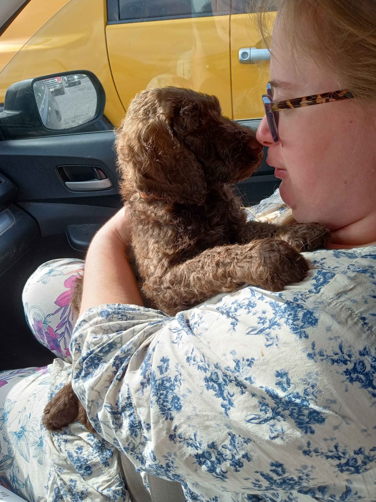 Poodle Puppies breeder image 2