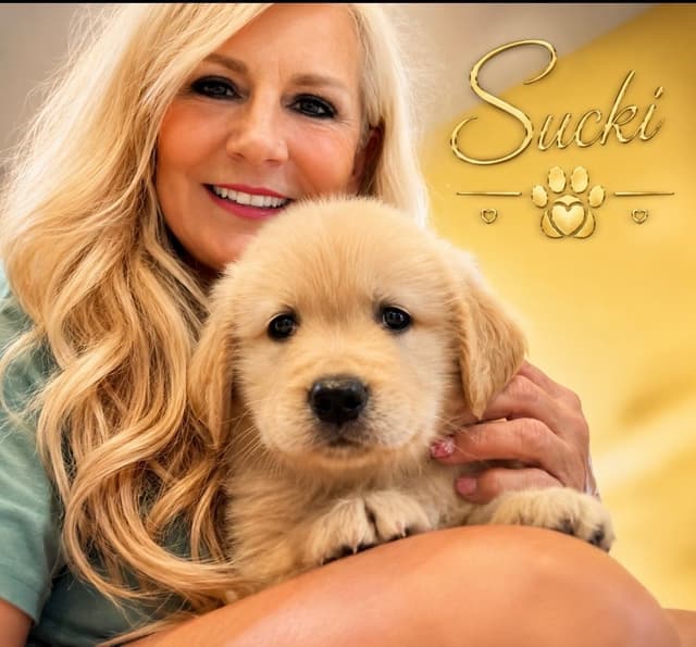 Golden Retriever Puppies media 8