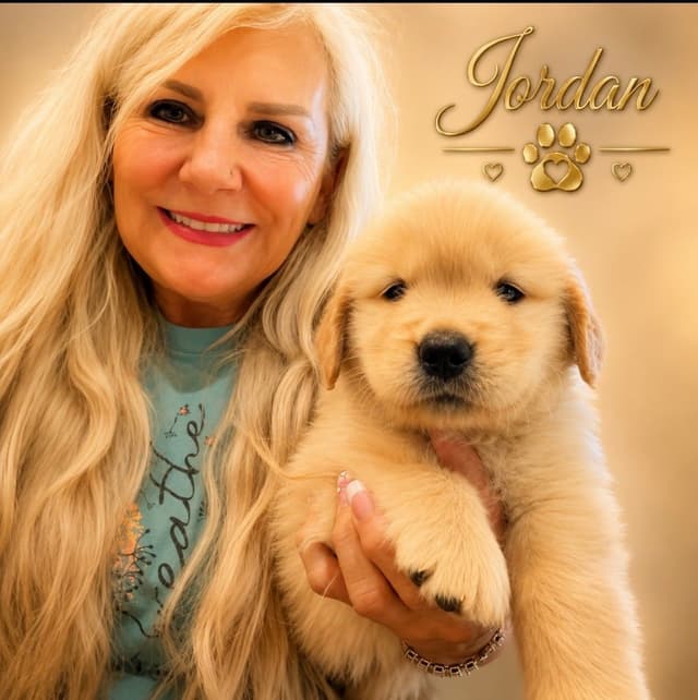 Golden Retriever Puppies media 10