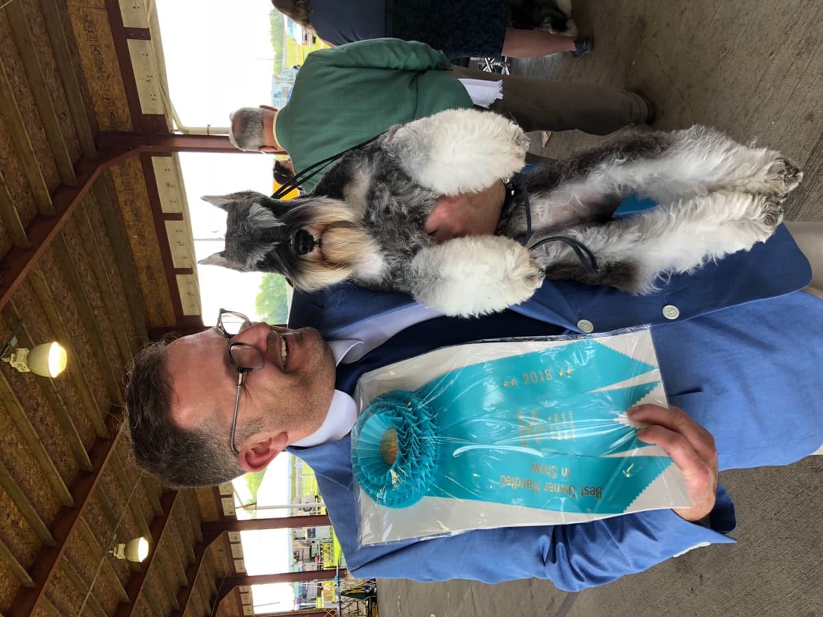 Miniature Schnauzer Puppies breeder image 1