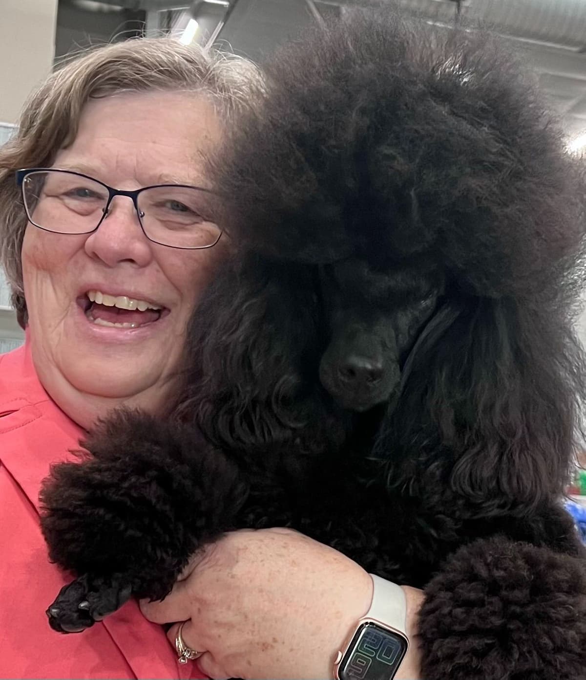 Poodle Puppies breeder image 3