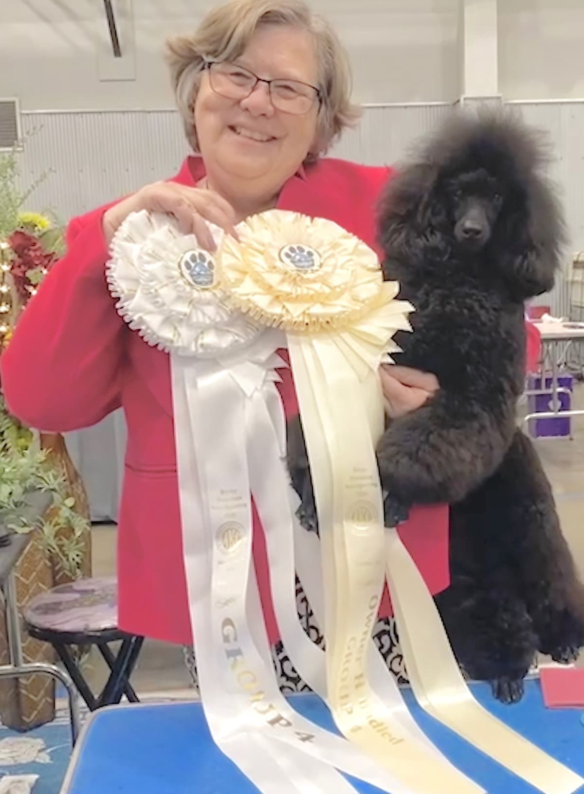 Poodle Puppies breeder image 4