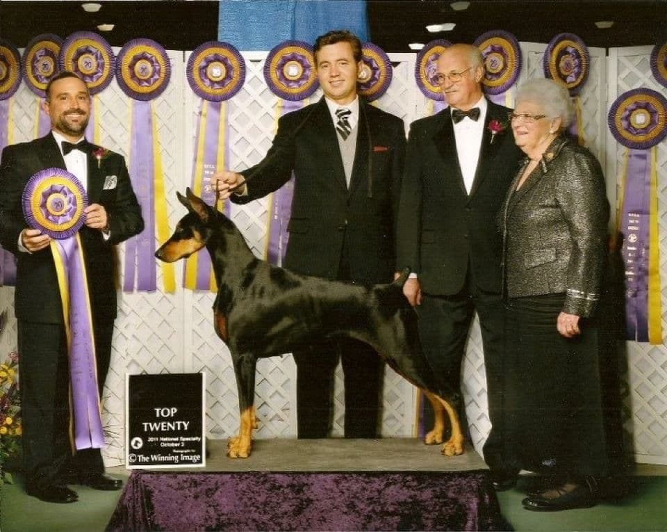 Doberman Pinscher Puppies breeder image 1