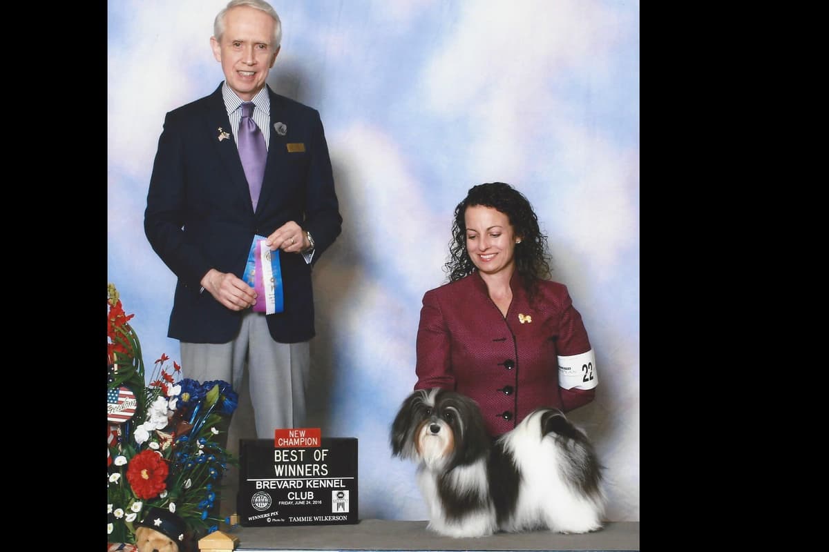 AKC Champion Parents, Fully Health Tested breeder image 2