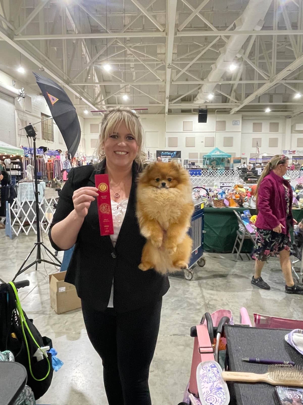 Pomeranian Puppies breeder image 14