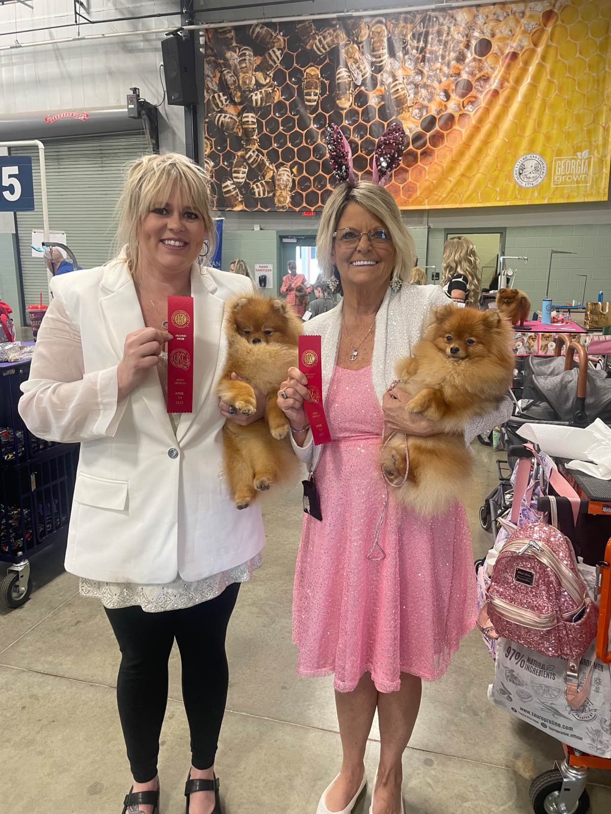 Pomeranian Puppies breeder image 21