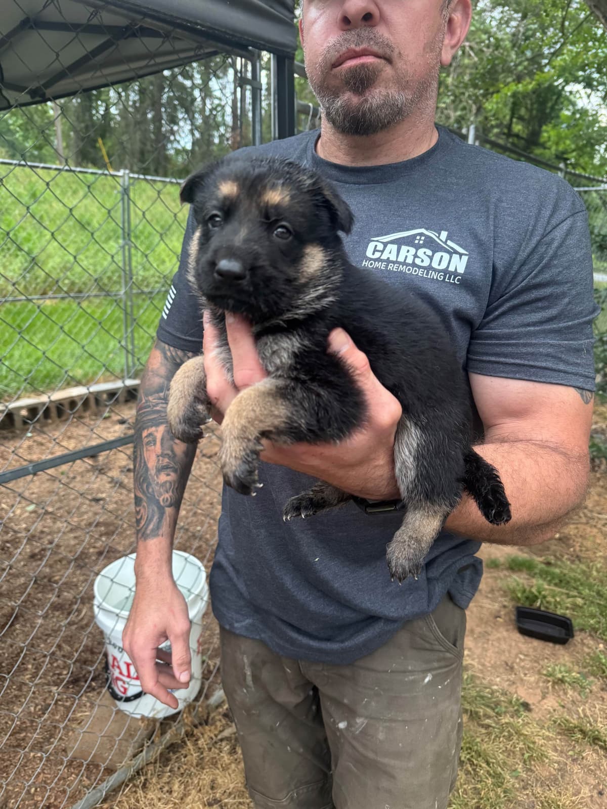German Shepherd Dog Puppies breeder image 7