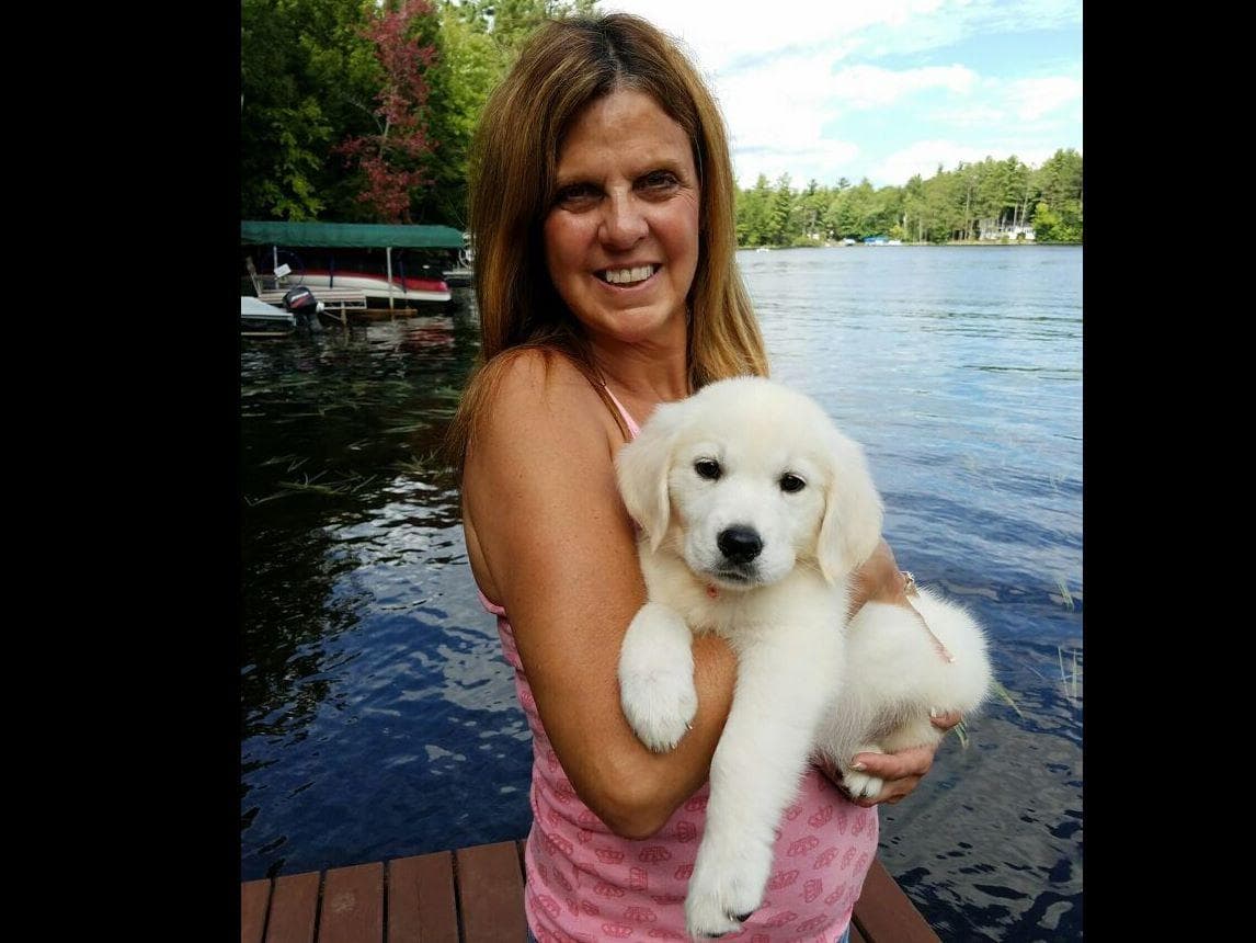 Starlit Golden Retriever Puppies breeder image 5