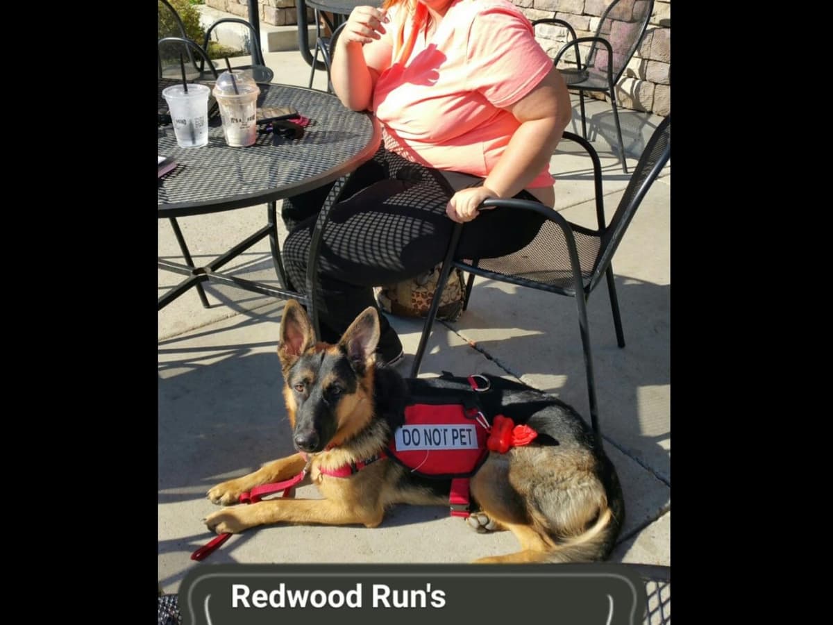Sam has delivered and Riviera is due very soon!! 707-337-9223 breeder image 32