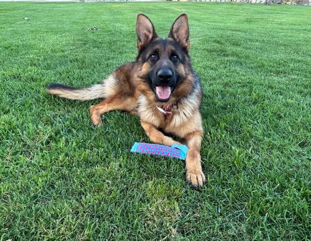 Lucy Female  707-337-9223 media 7